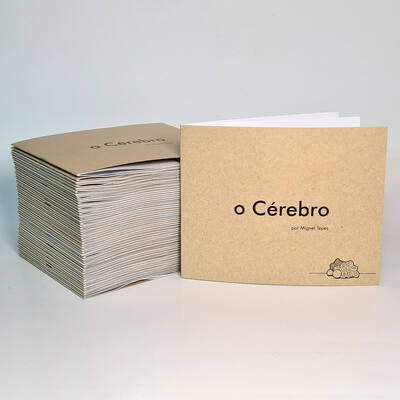 o Cérebro
o Cérebro
