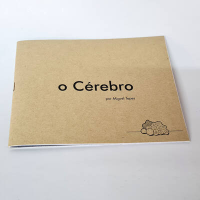 o Cérebro
