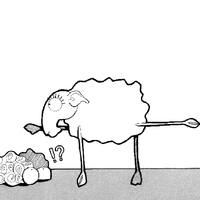 quadrunferencia /
