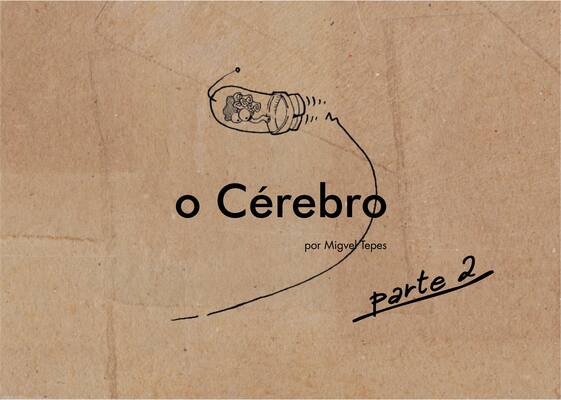 o Cérebro parte 2
